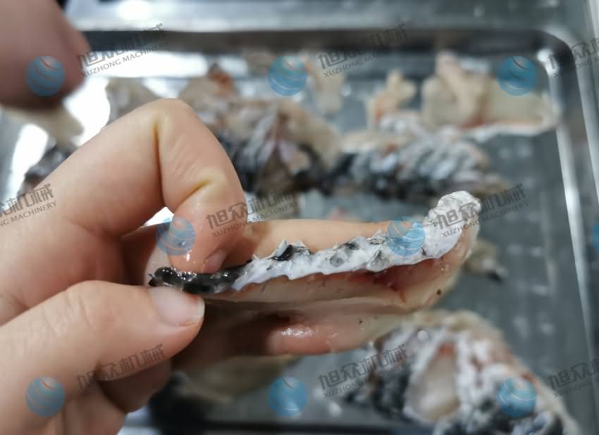 魚(yú)片機(jī)，片魚(yú)片機(jī)，片魚(yú)機(jī)，斜切魚(yú)片機(jī)，全自動(dòng)魚(yú)片機(jī)