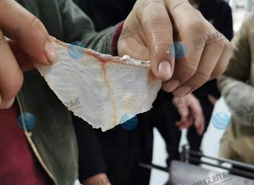 魚片機，魚片機器，片魚機，片魚片機，全自動斜切魚片機