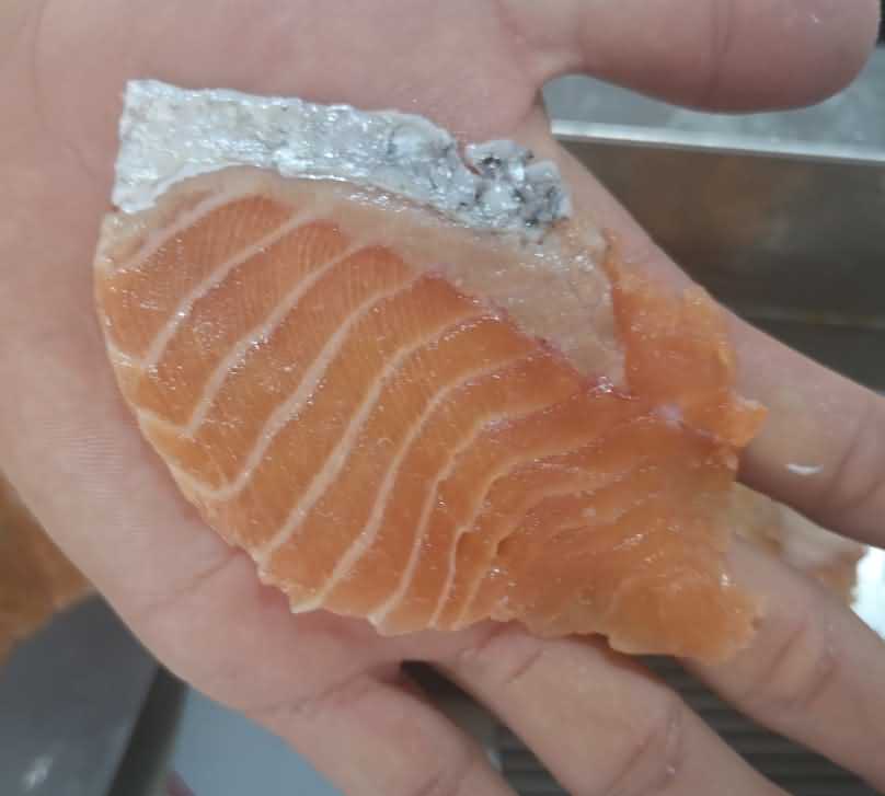 魚片機，自動切魚片機，旭眾魚片機，多功能切魚片機，魚片機多少錢