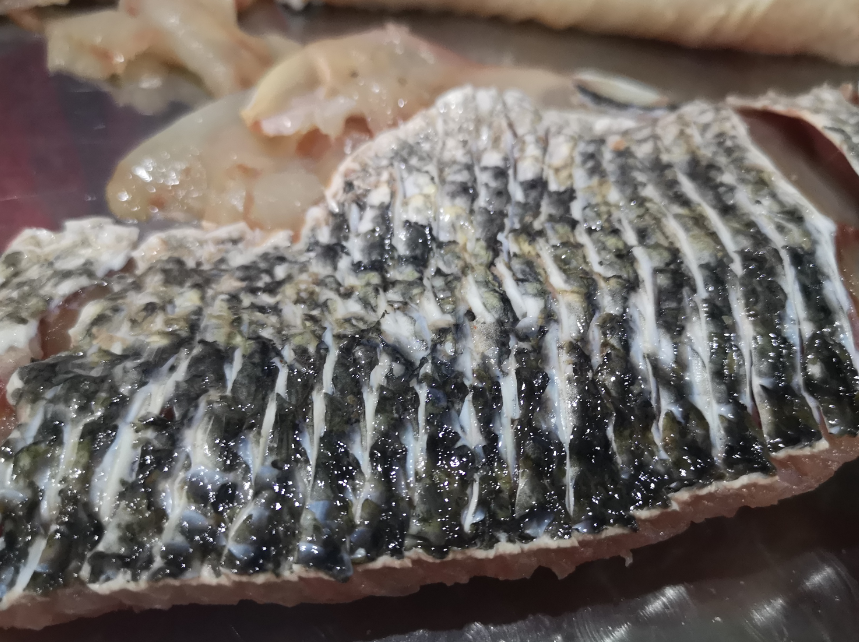 切魚片機，自動切魚片機，片魚片機器，魚片機廠家，切魚片機多少錢
