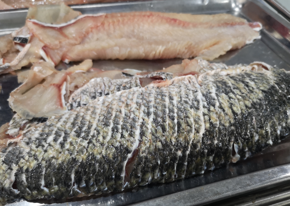切魚片機，自動切魚片機，片魚片機器，魚片機廠家，切魚片機多少錢