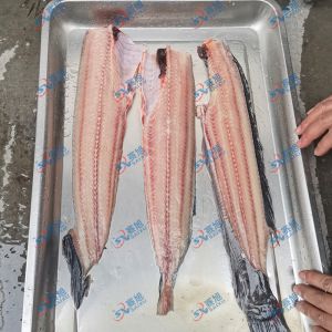 現場試機鯰魚，三枚開片去魚骨機